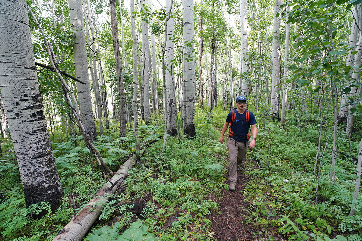 REI Co-op Flash hiking boot (hiking through dense forest)