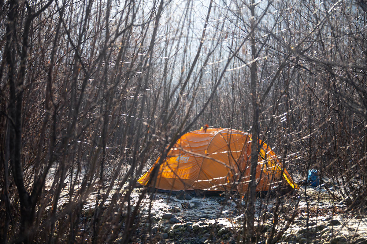 REI Co-op Half Dome SL 2 Plus tent (through trees at camp)