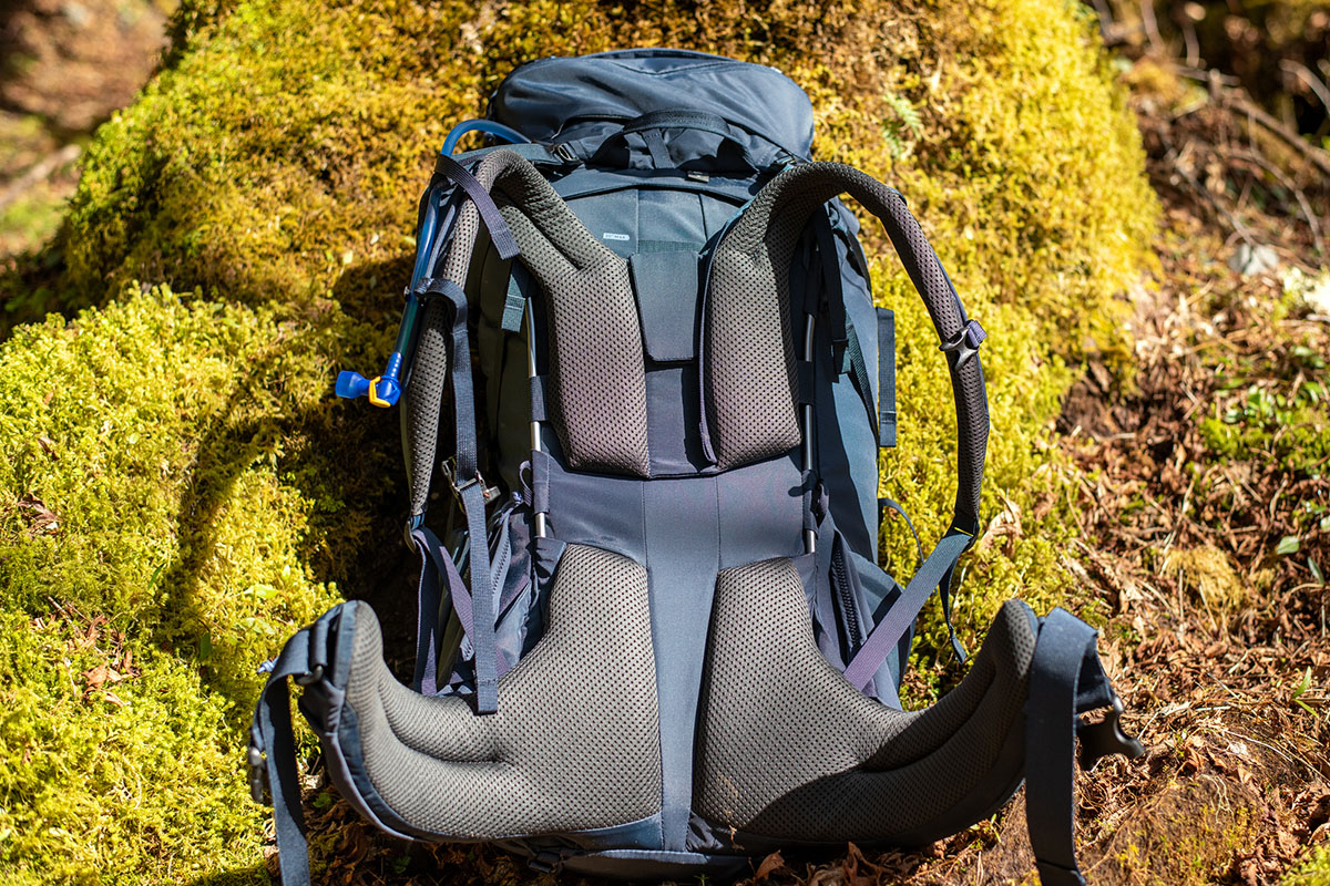 REI Co-op Traverse 60 backpack (backpanel)