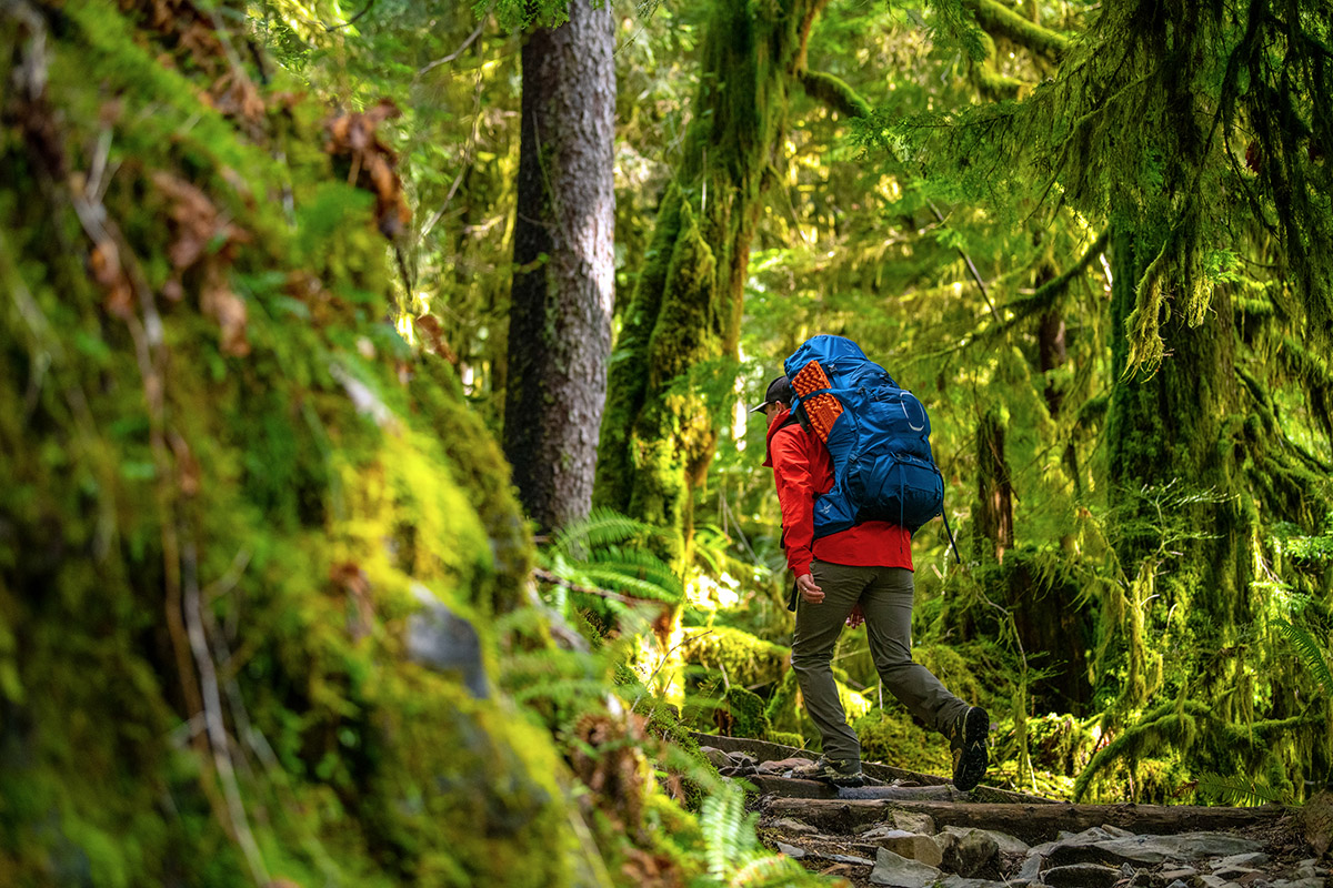Salomon Quest 4 GTX hiking boot (hiking through rainforest)