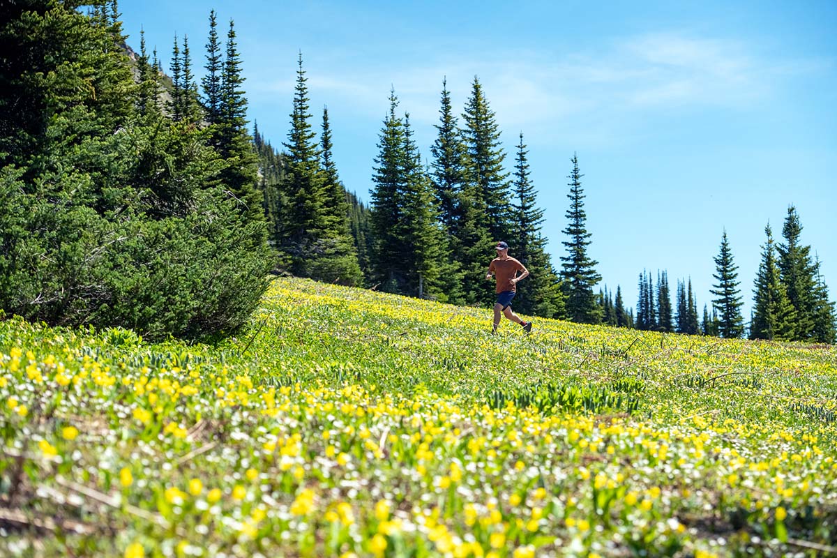 Salomon Sense Ride 2 (wildflowers)