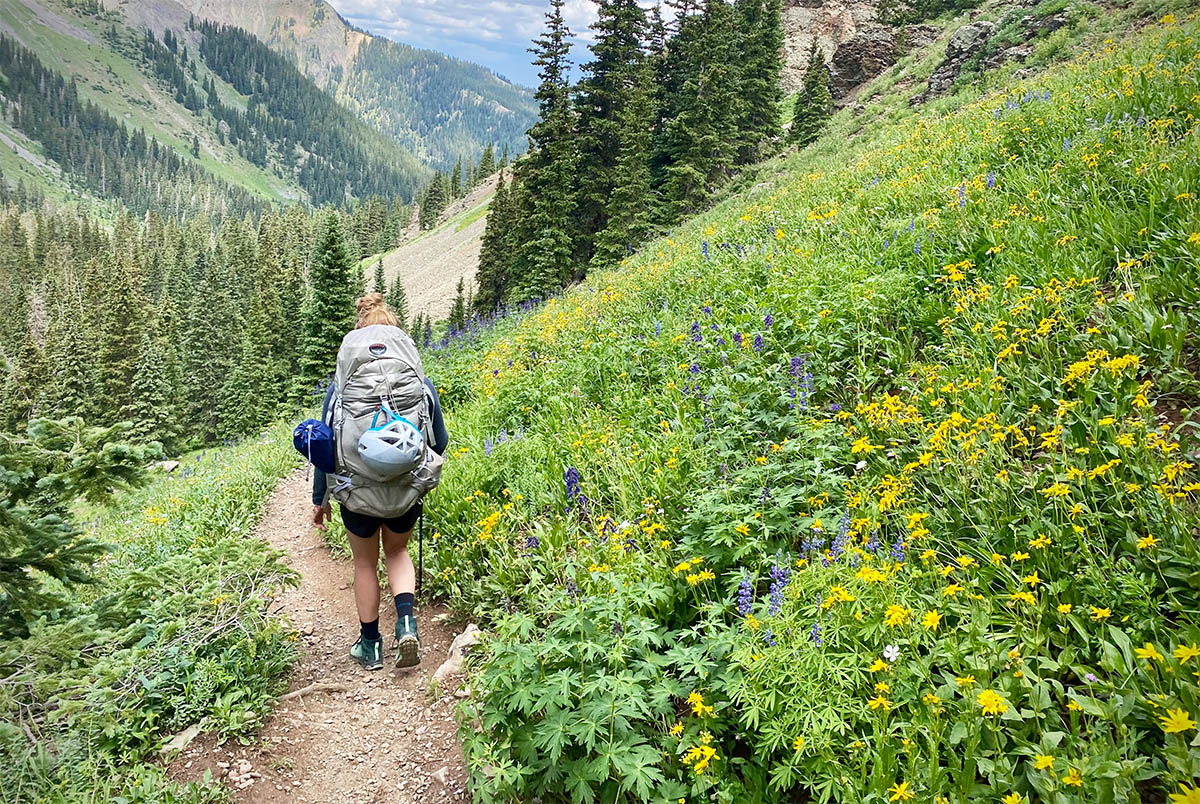 Salomon Vaya Mid GTX hiking boot (hiking through wildflowers)