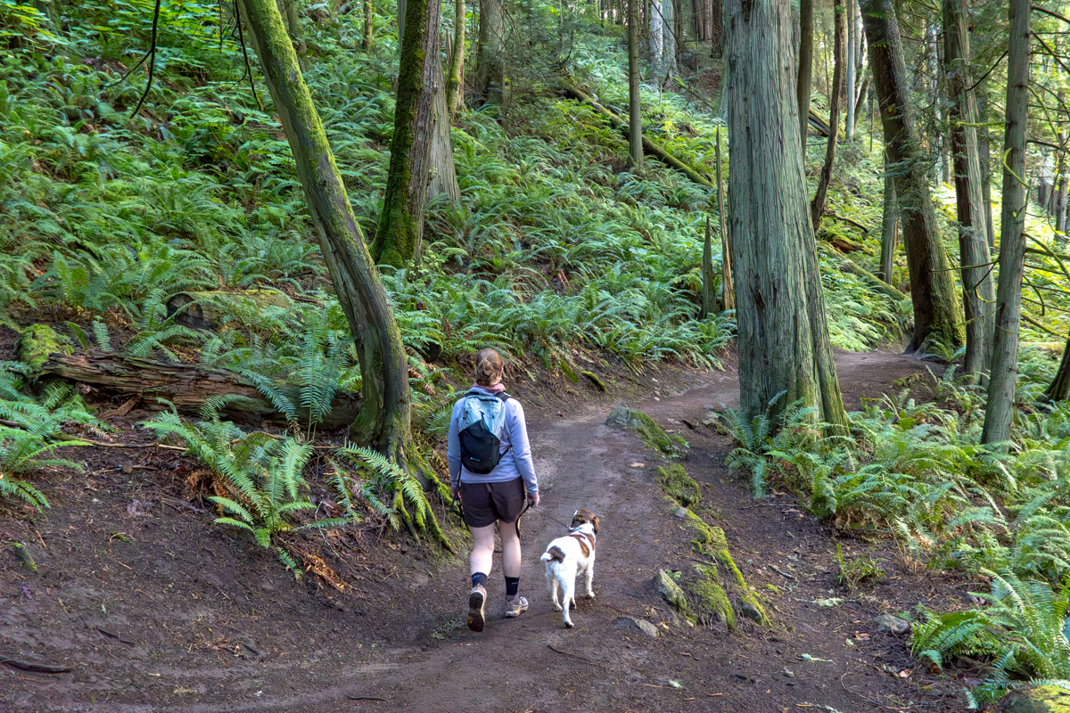 A woman hiking away in hiking boots through a forested trail with a dog