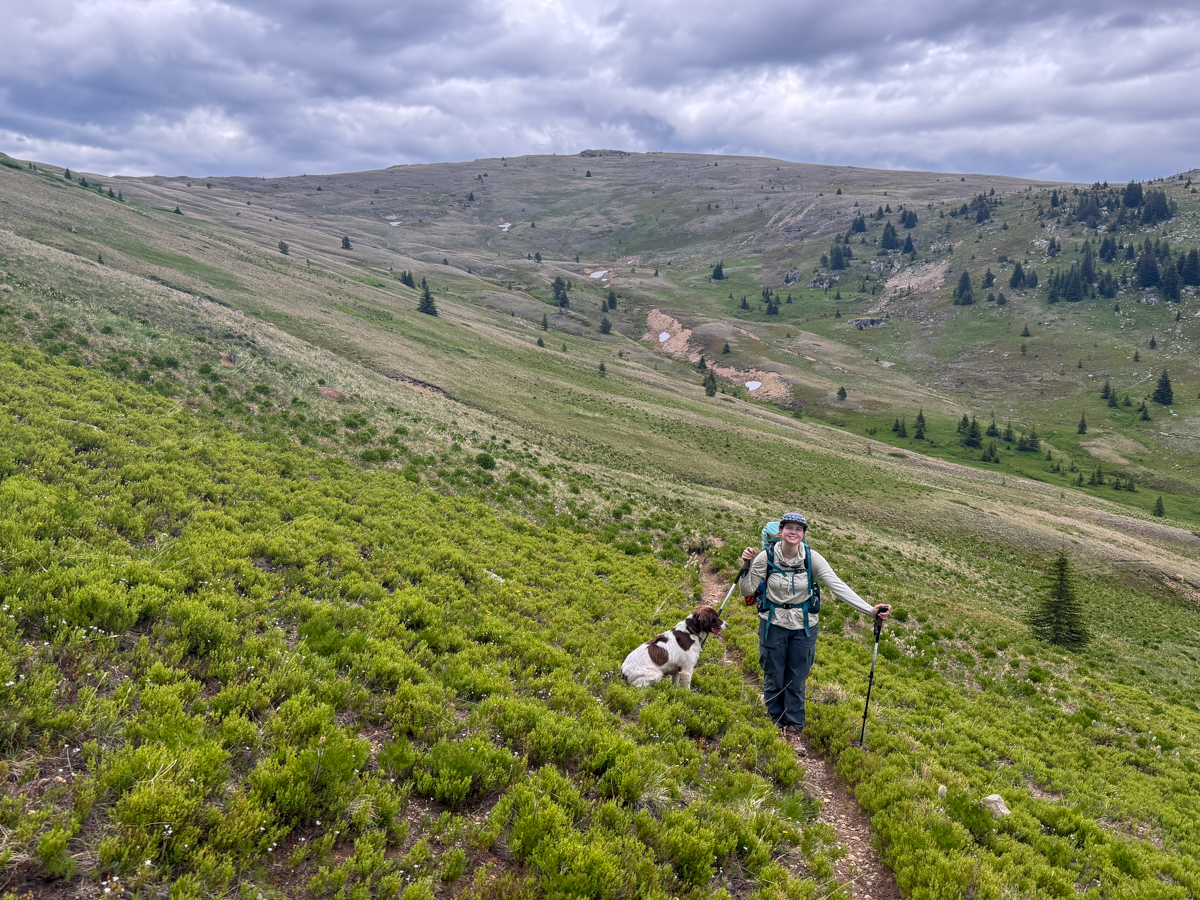 A woman hiking in an alpine meadow wearing hiking boots with a dog