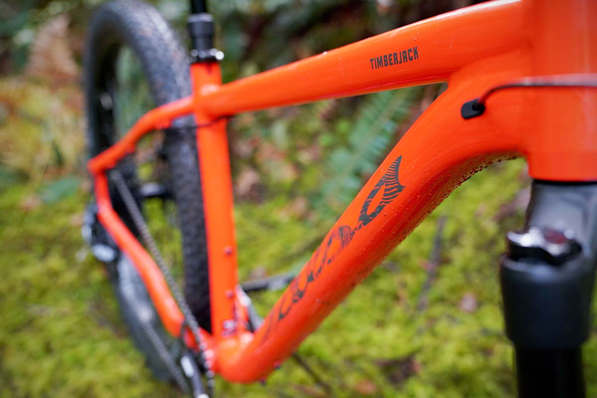 salsa timberjack hardtail