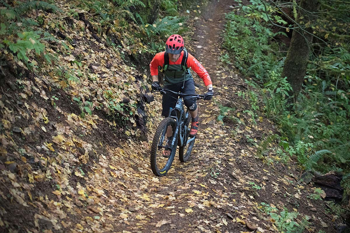 Santa Cruz Bronson (climbing with leaves final)