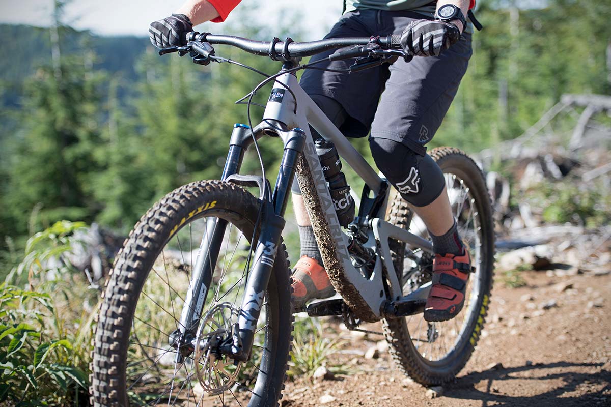 santa cruz bronson s