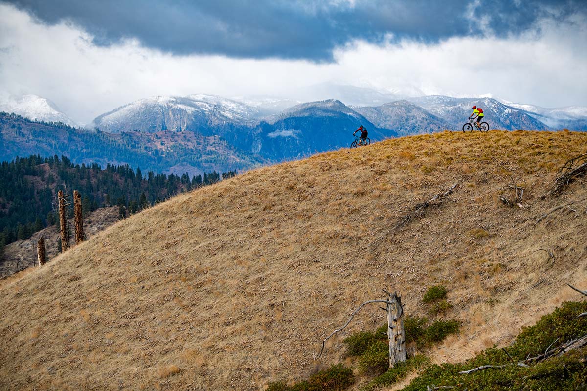 Santa Cruz Bronson (mountains)