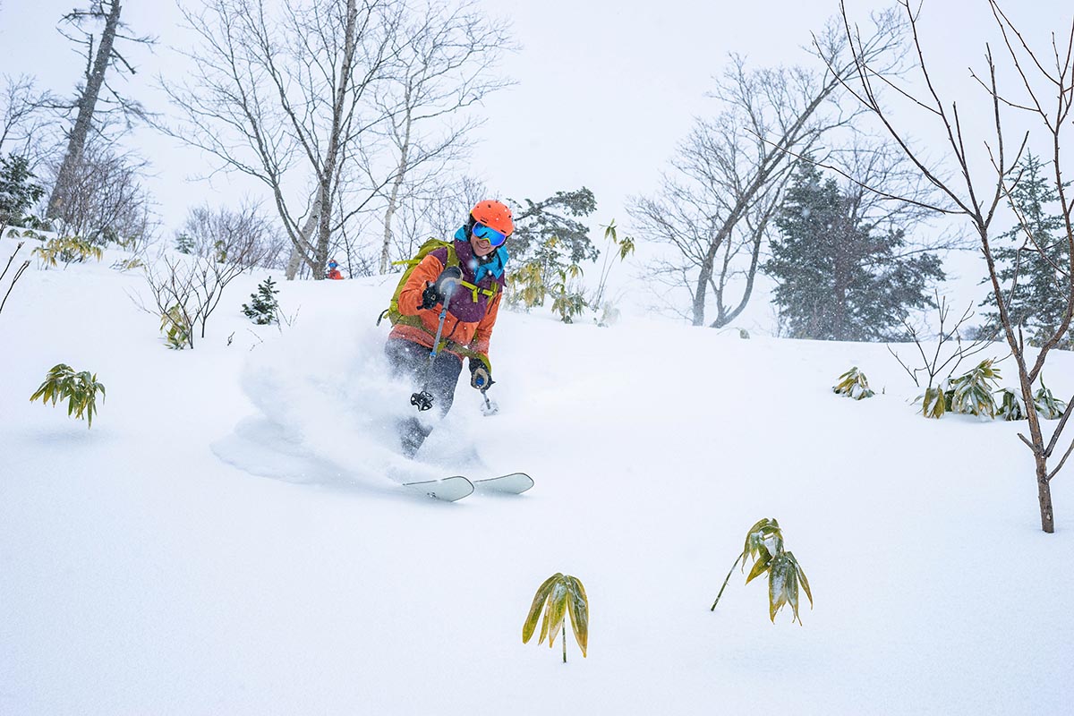 Smith Skyline goggles (deep powder)