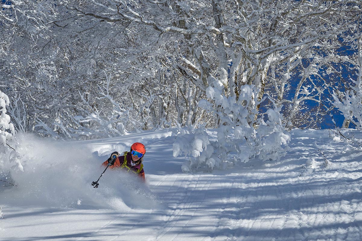 Smith Skyline goggles (powder spray)