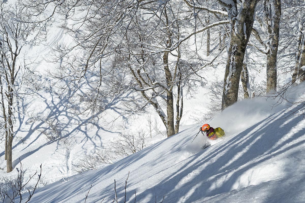 Smith Skyline goggles (skiing in trees and powder)