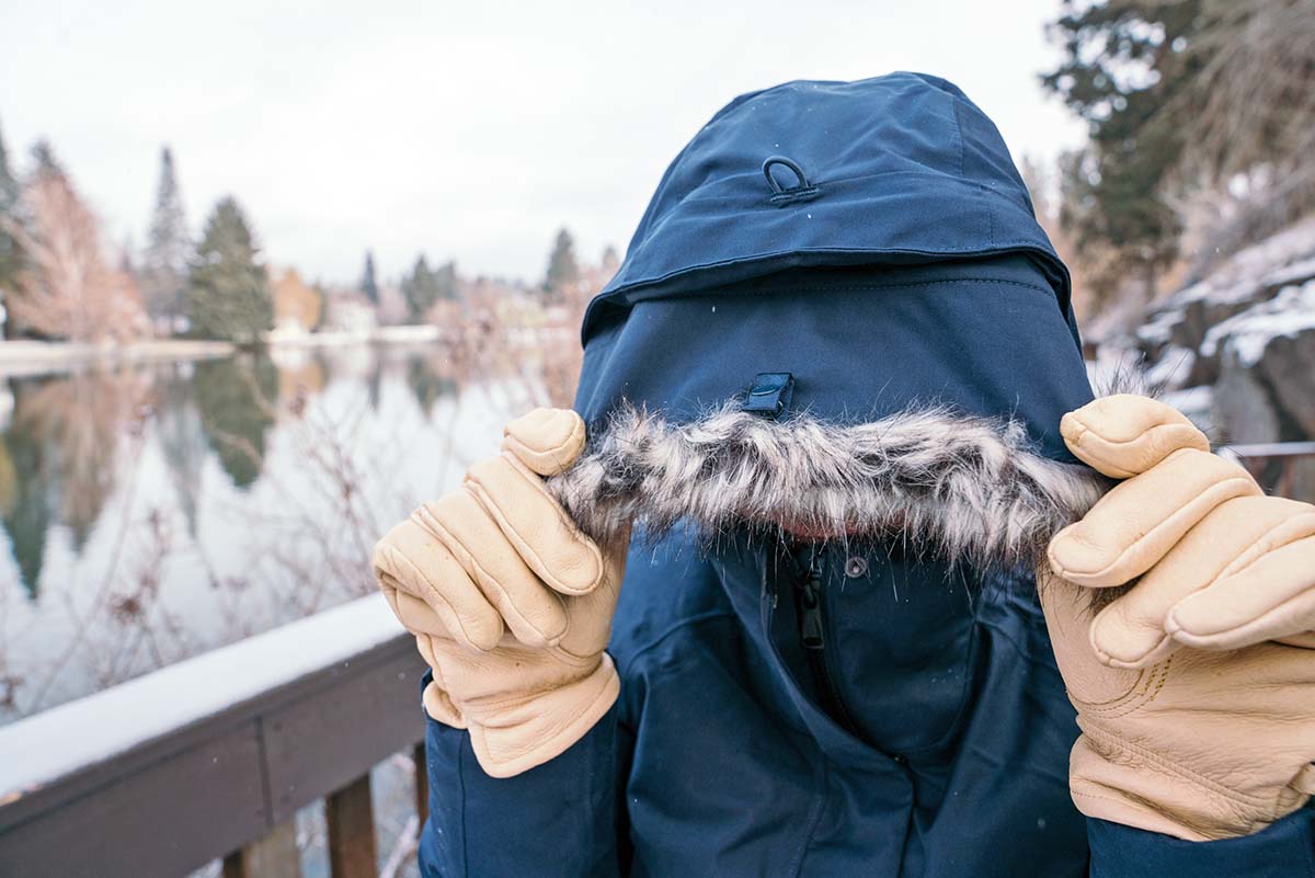 tnf arctic parka