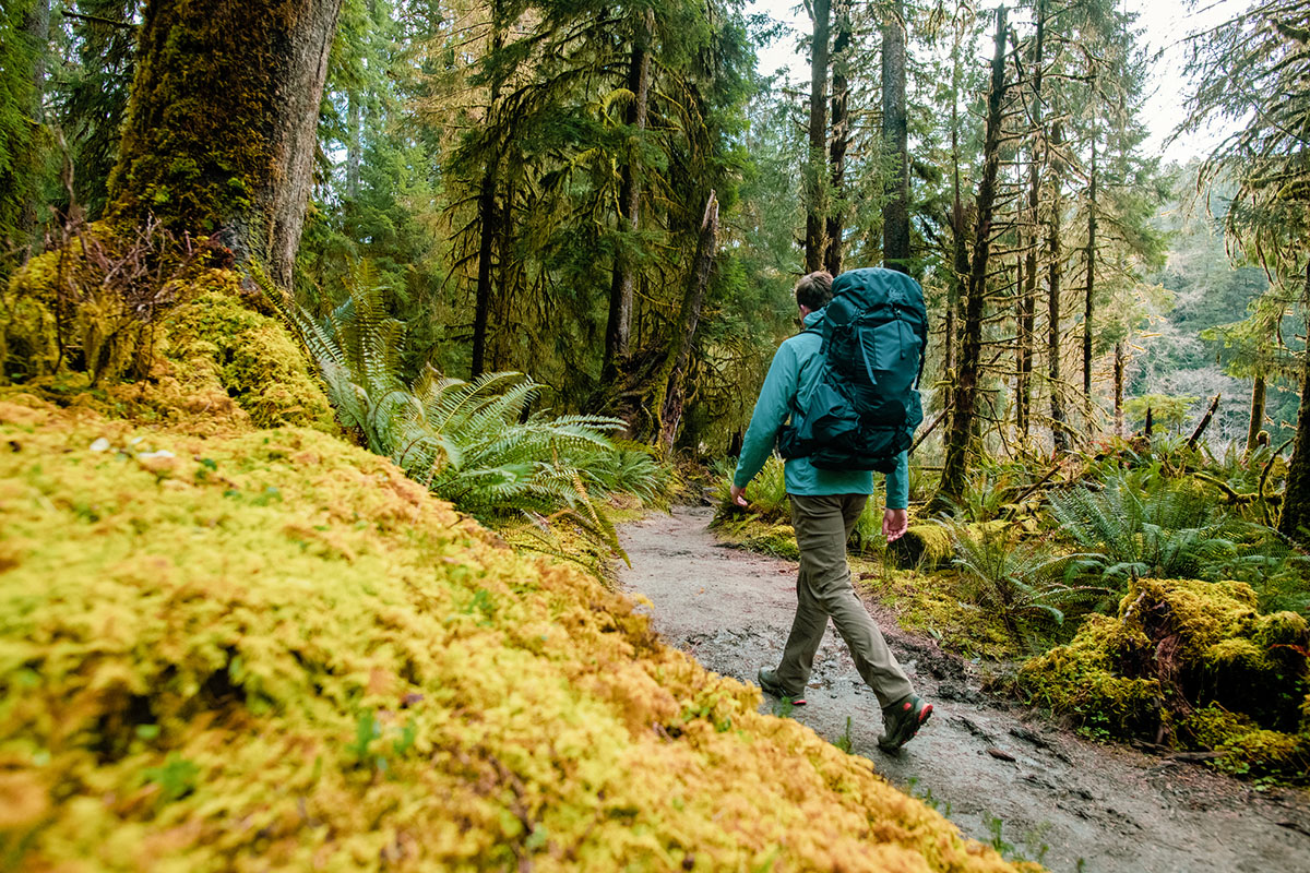 The North Face Vectiv Exploris hiking shoe (hiking in rainy forest)