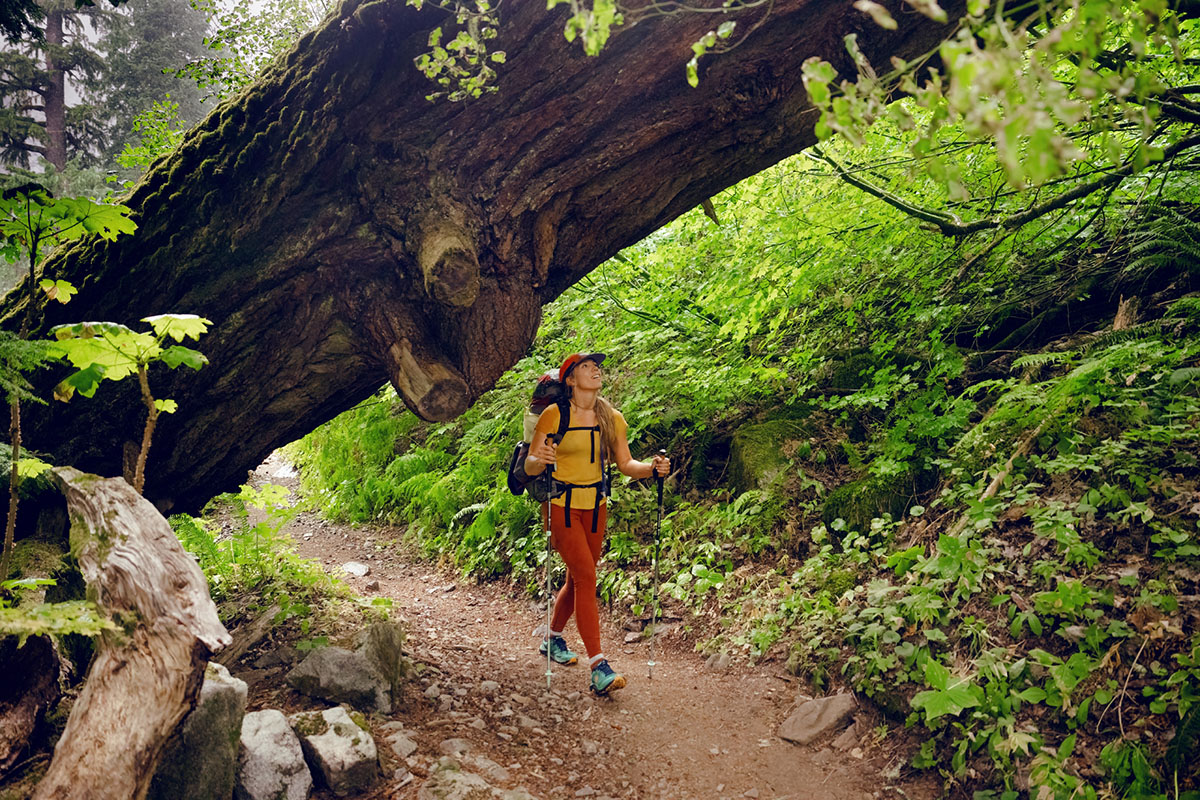 ​​Topo Athletic Ultraventure 3 (hiking under big tree)