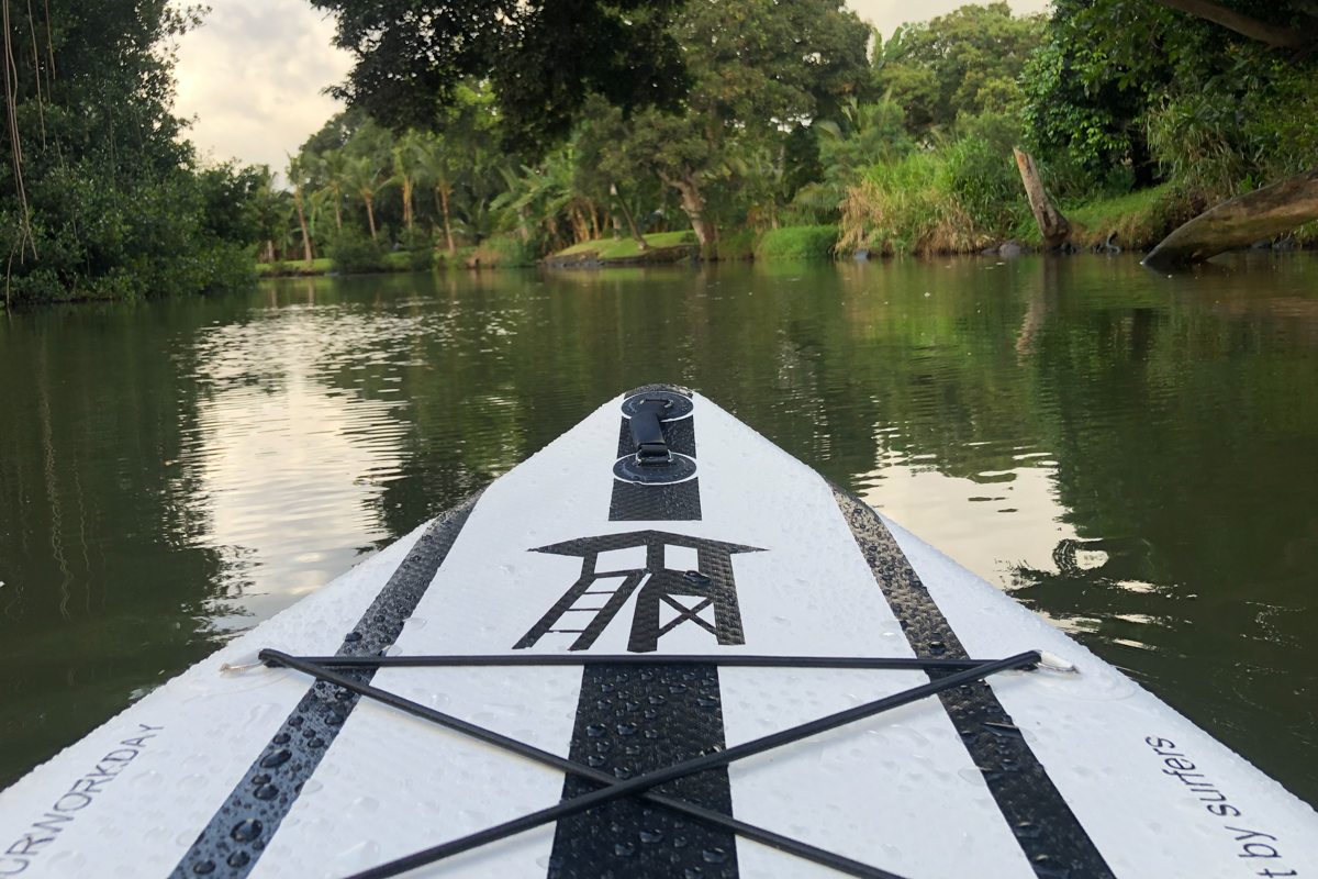 The nose of a black and white paddle board on still water with trees on the bank