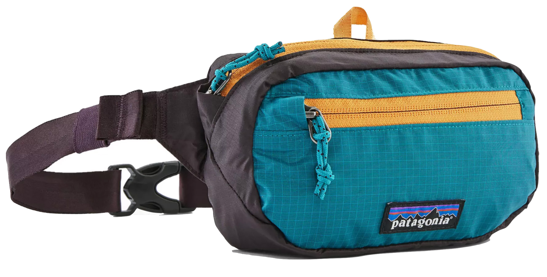 Public Lands Gift Guide (Patagonia Ultralight Black Hole Mini Hip Pack)