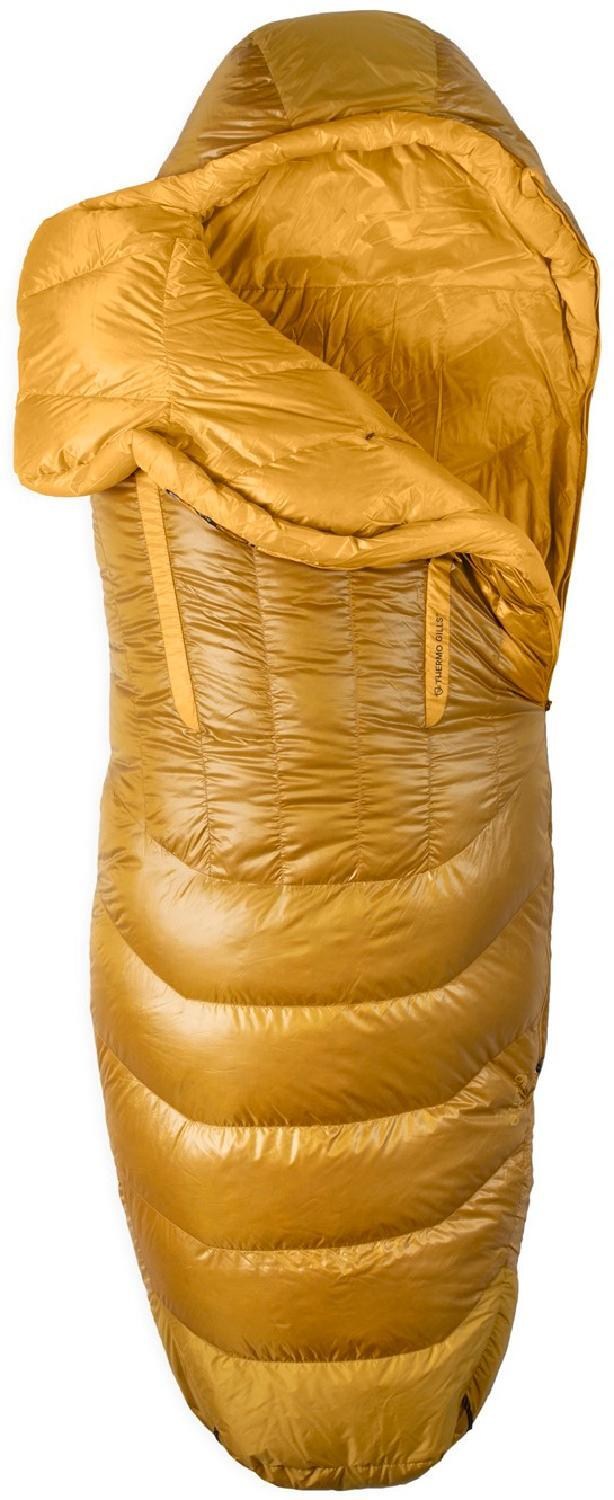 REI Anniversary Sale (Nemo Disco 15 sleeping bag)