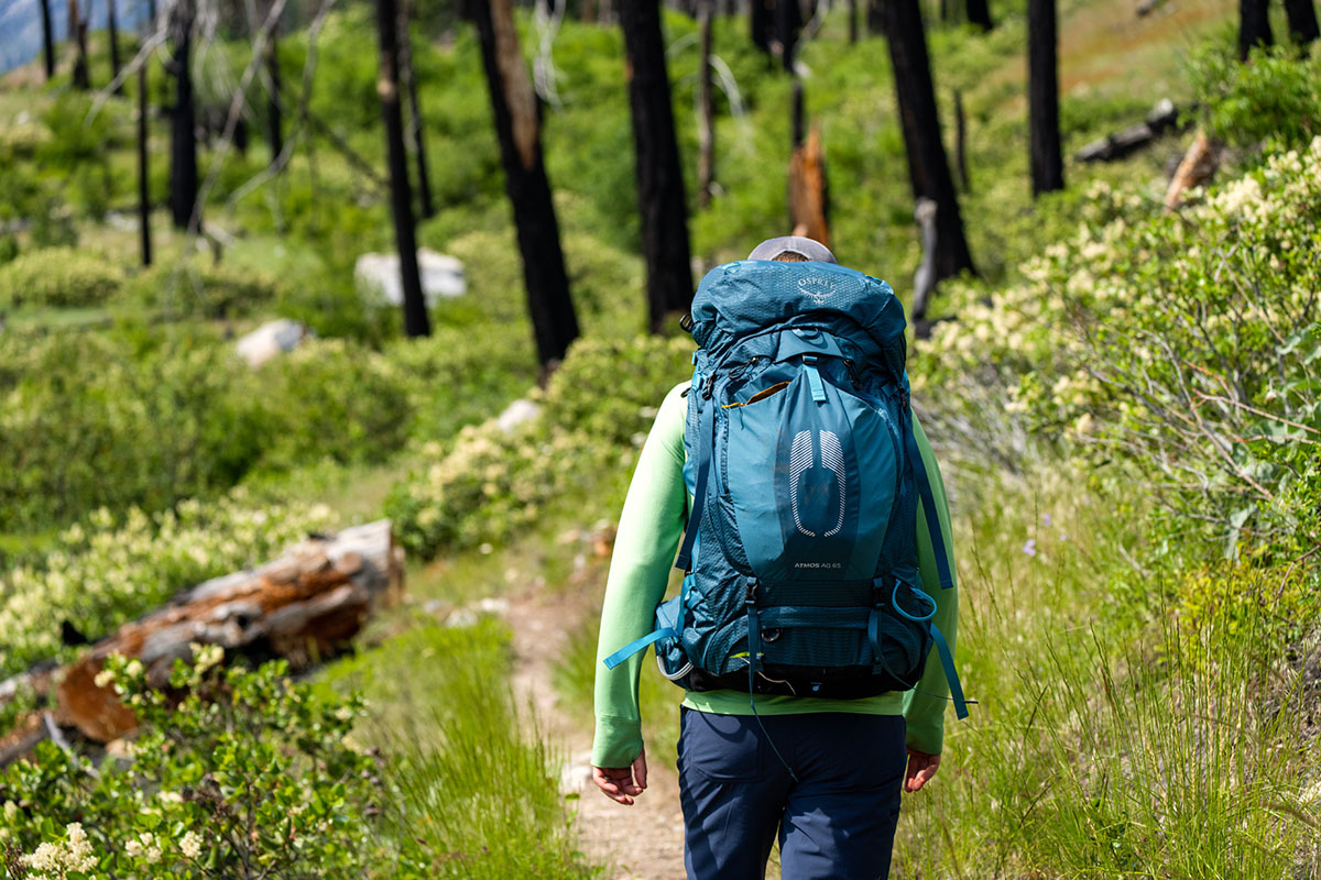 REI Anniversary Sale (backpacking in Osprey Atmos AG 65)
