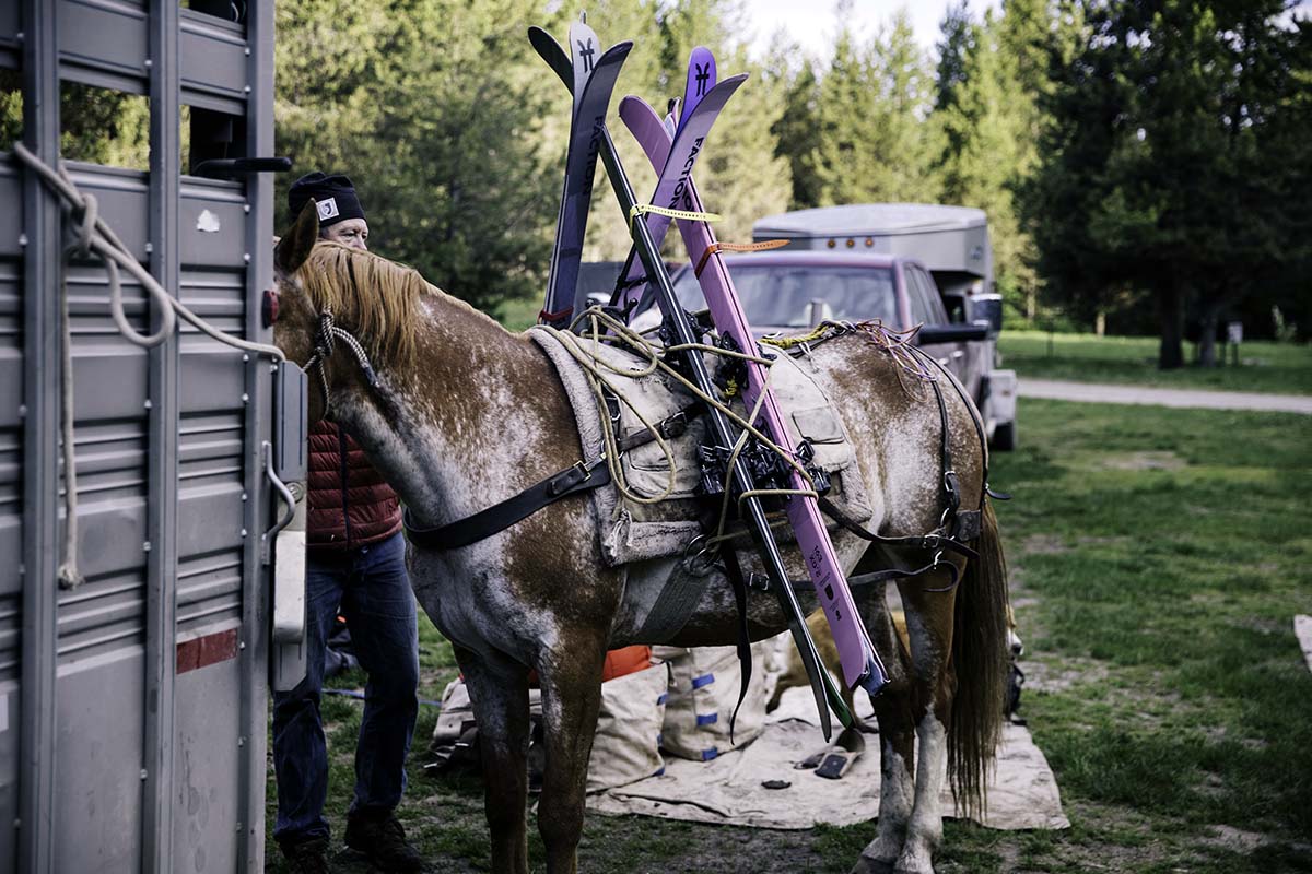 Using ski straps to attach skis to horse 2