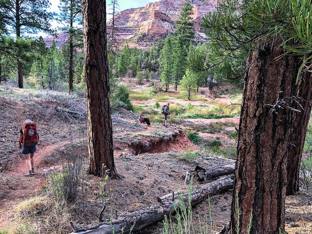 Dark Canyon (hiking 5)