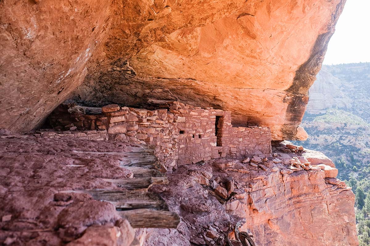 Dark Canyon (wood dwelling)