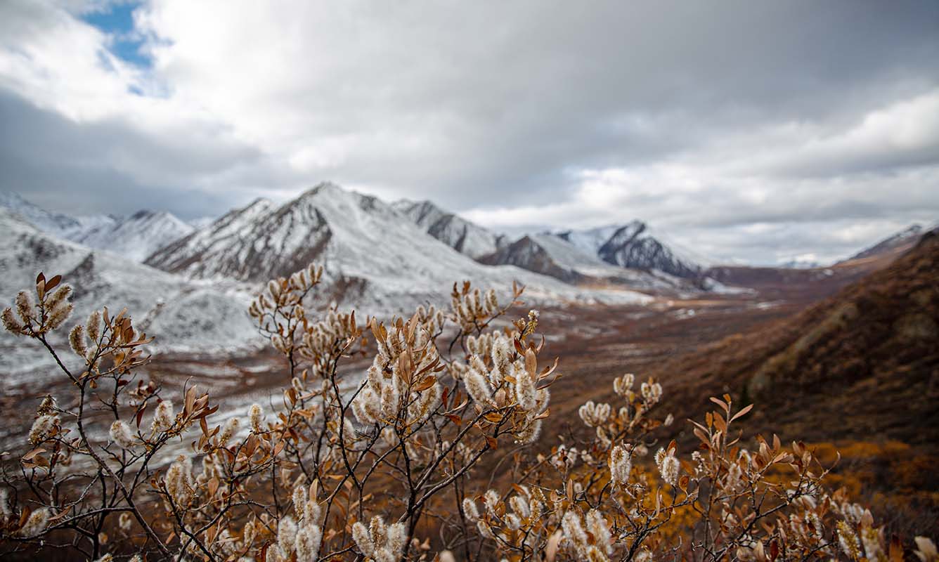Autumn views off the Dempster Highway