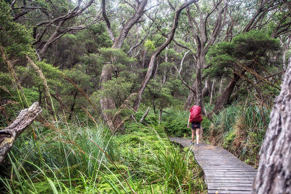 Great Ocean Walk (hiking along boardwalk)