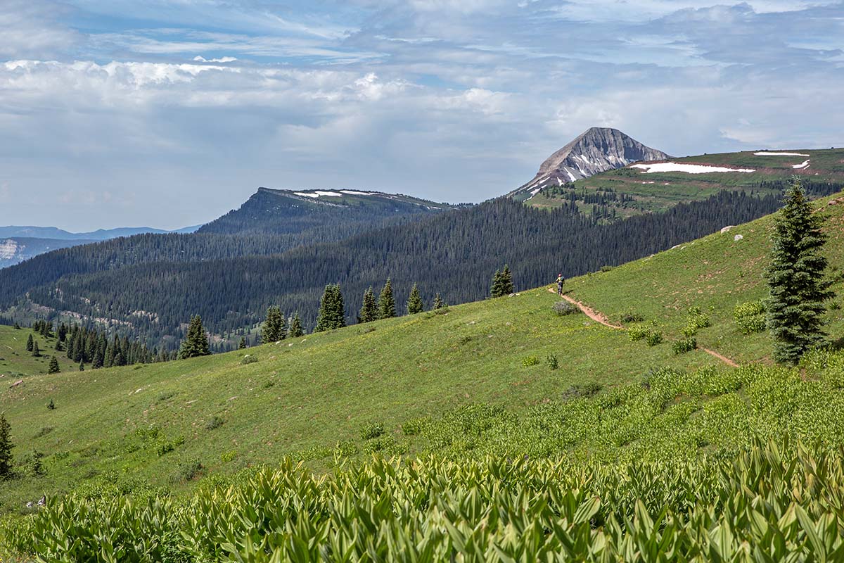 San Juan Mountains Bikepacking (green meadow)