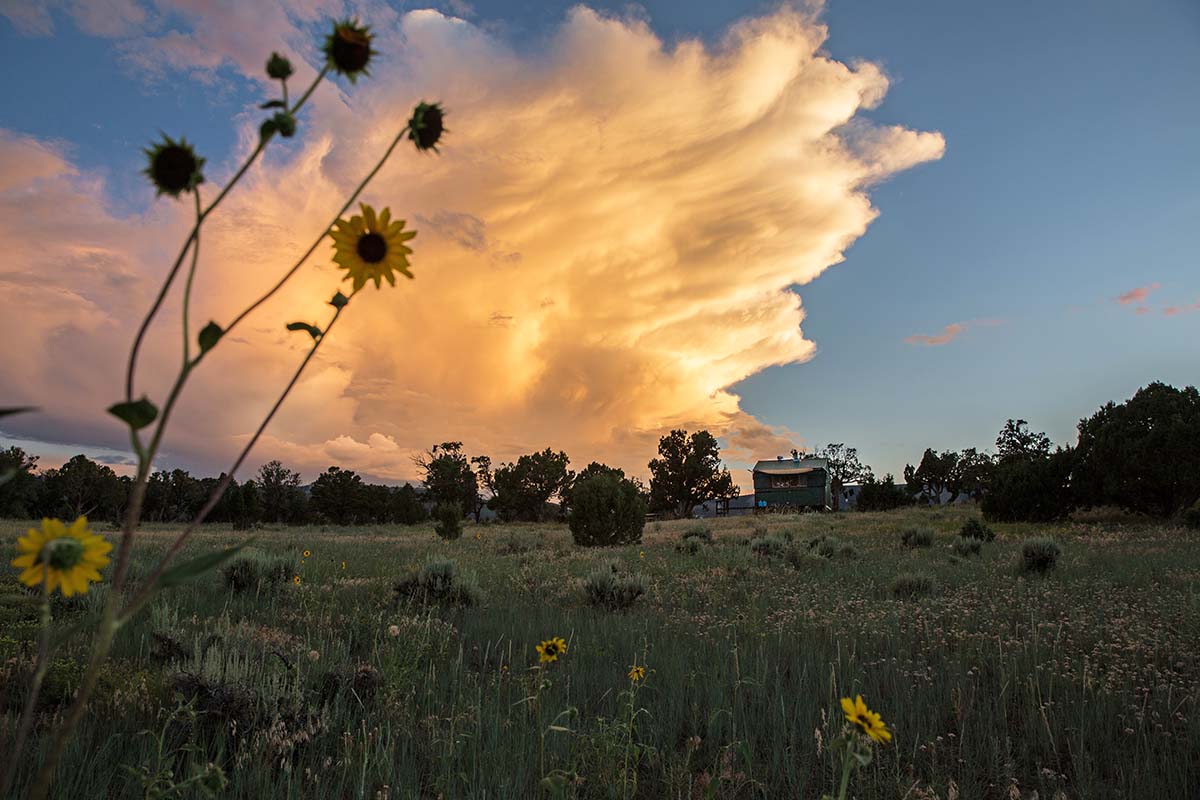 Sunset and flowers while bikepacking