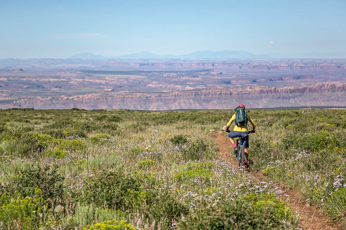 Bikepacking through wildflowers with desert in distance