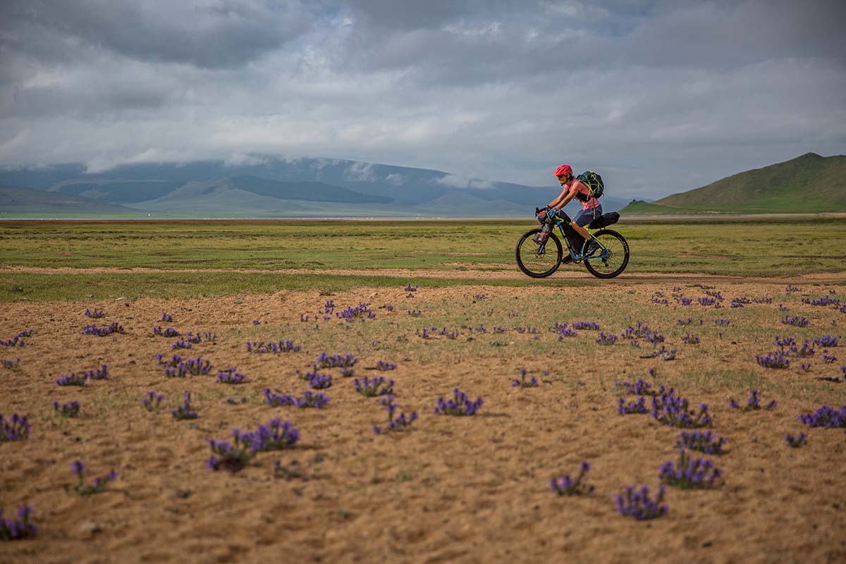 Khangai Traverse (flowers)