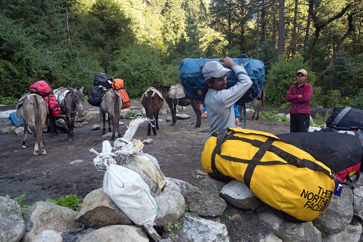 Manaslu (muleteer)