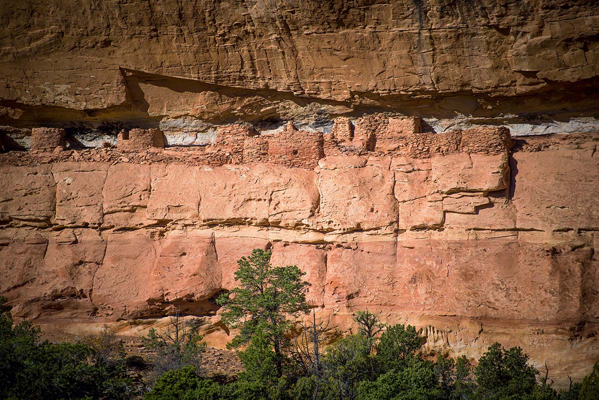 salt creek canyon (cliff)