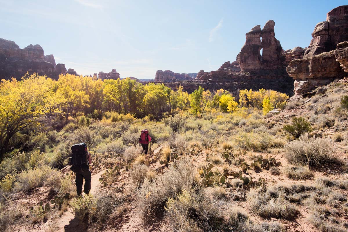 salt creek canyon (hiking 2)