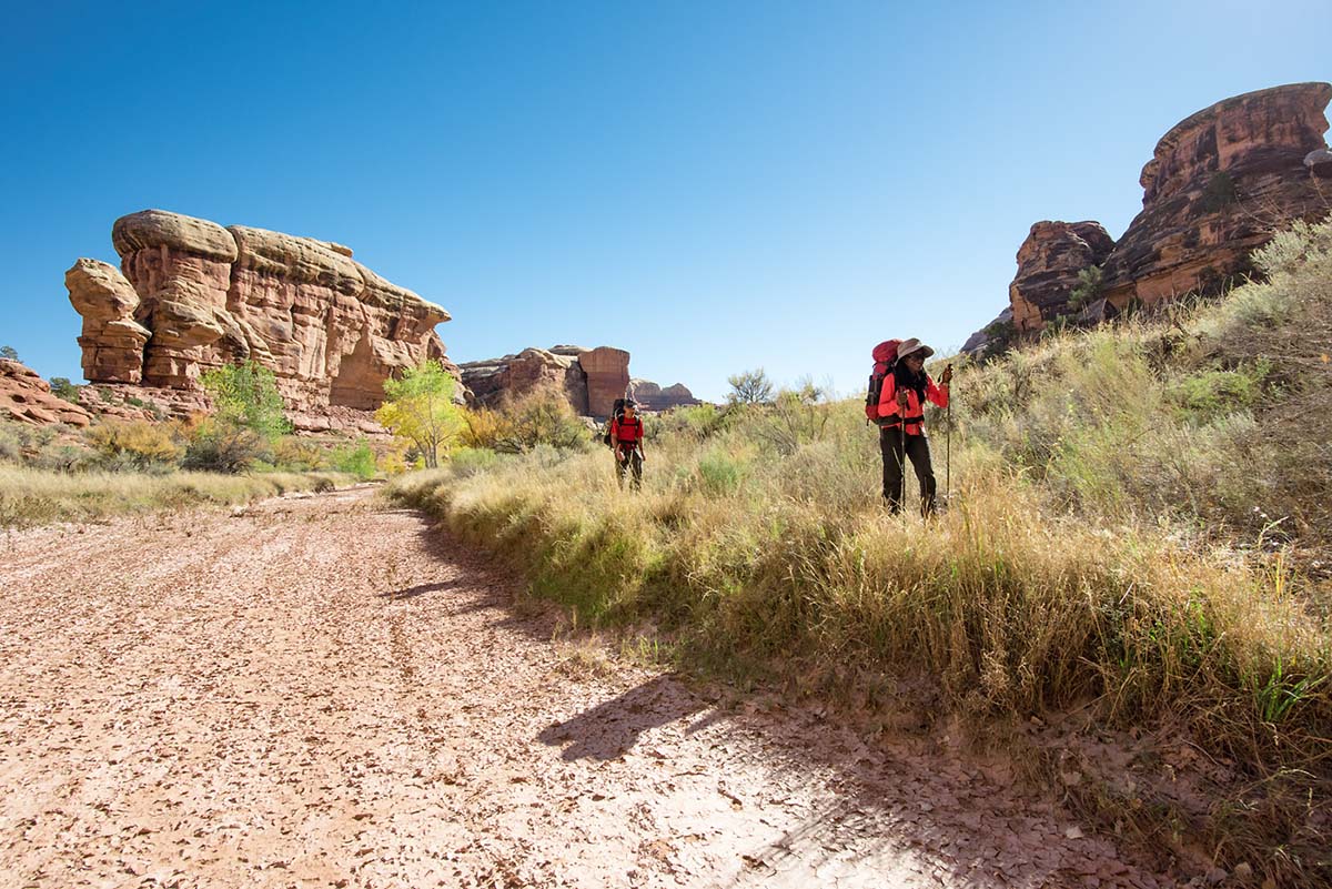 salt creek canyon (hiking road)