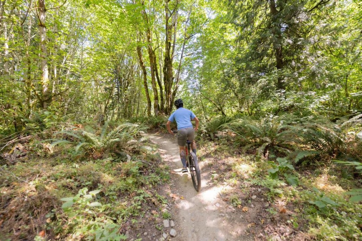 The Co-Op Cycle DRT e1.1 ebike out on a lush trail