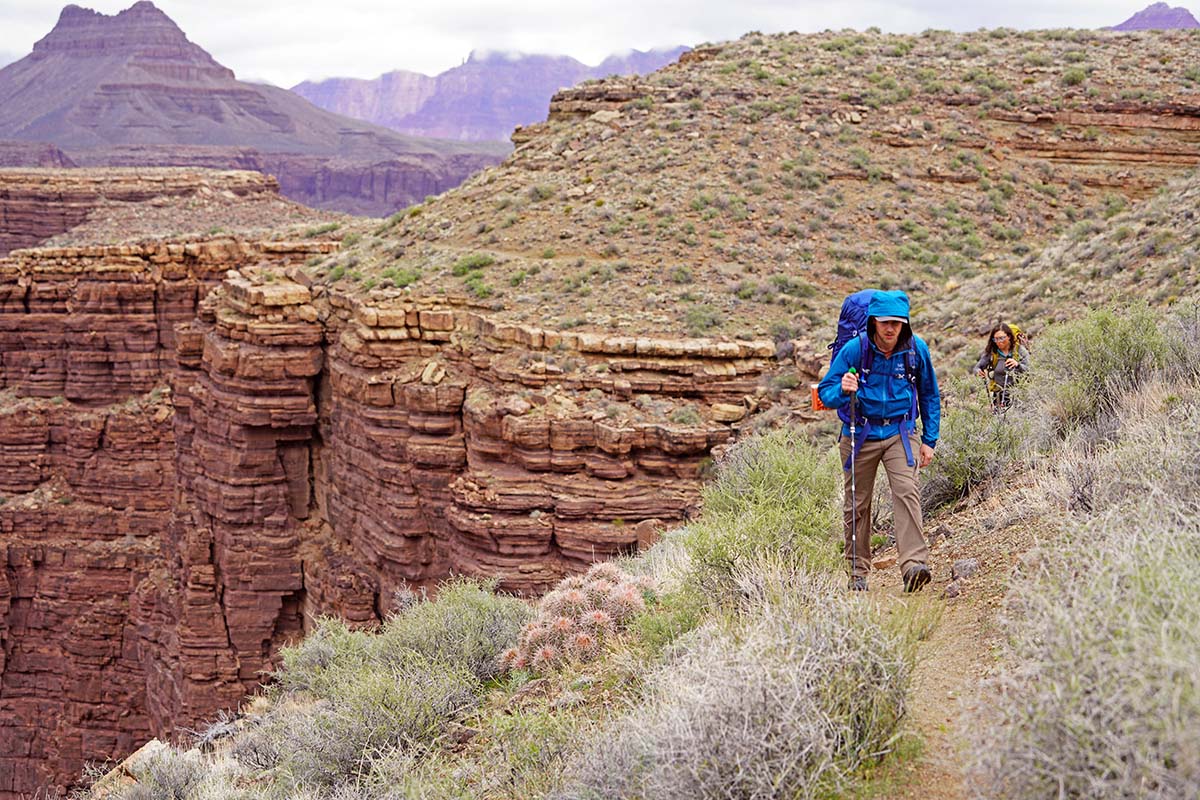 ascend escalante trekking pole