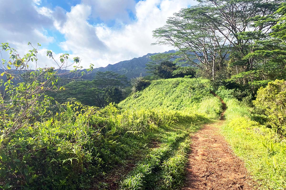 Kuilau Ridge Trail (hiking on Kaua'i)