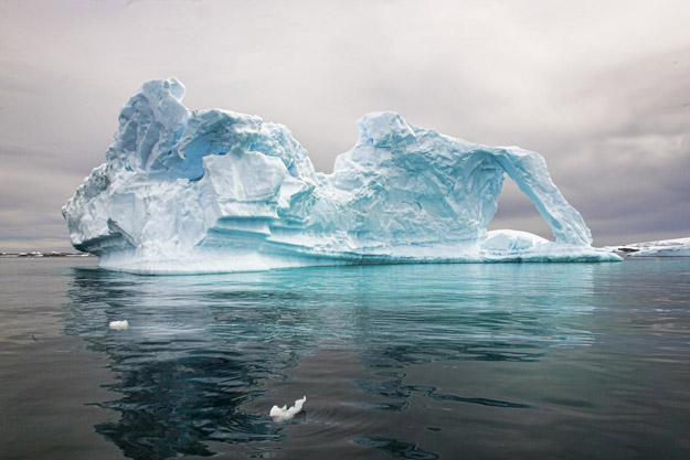 Antarctica Photos and Slideshow