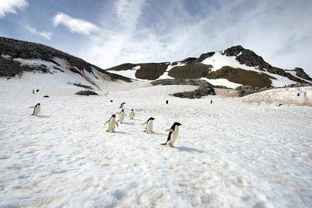 Antarctica Photos and Slideshow