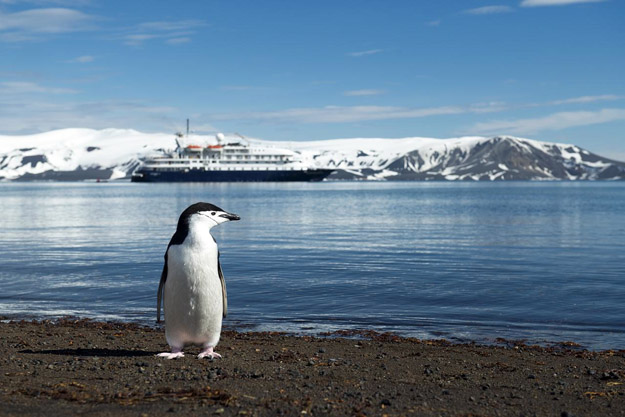 Antarctica Photos and Slideshow