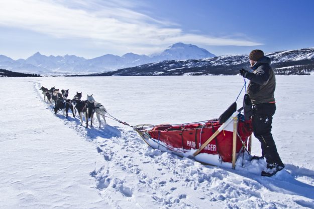 Denali National Park Winter