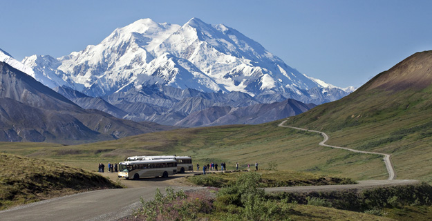 Denali from Park Road