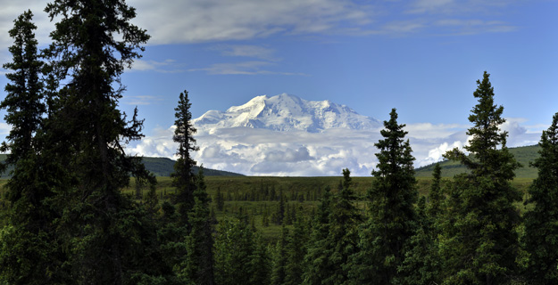 Denali from Kantishna