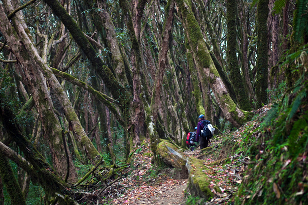 Great Himalaya Trail - Annapurna