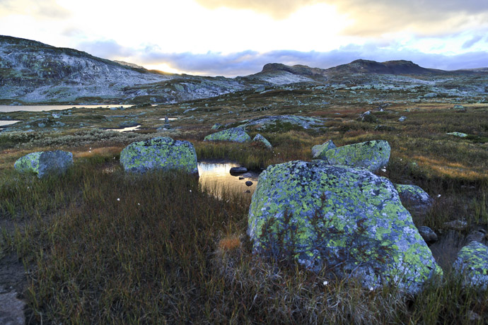 Hardangervidda Sunset