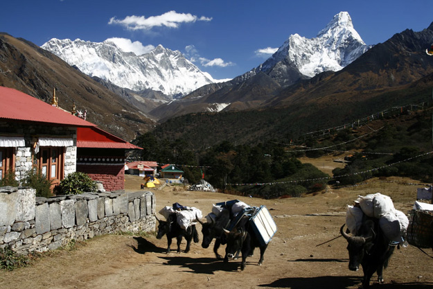 Nepalese village