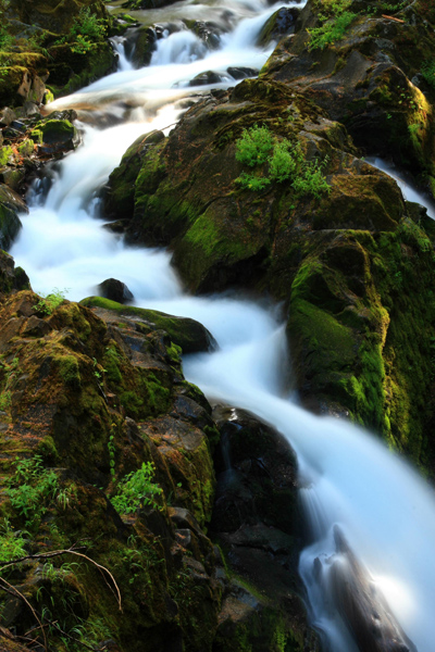 Pacific Northwest - Sol Duc Falls, Olympic National Park