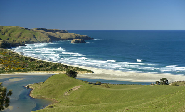 Allans Beach, Dunedin