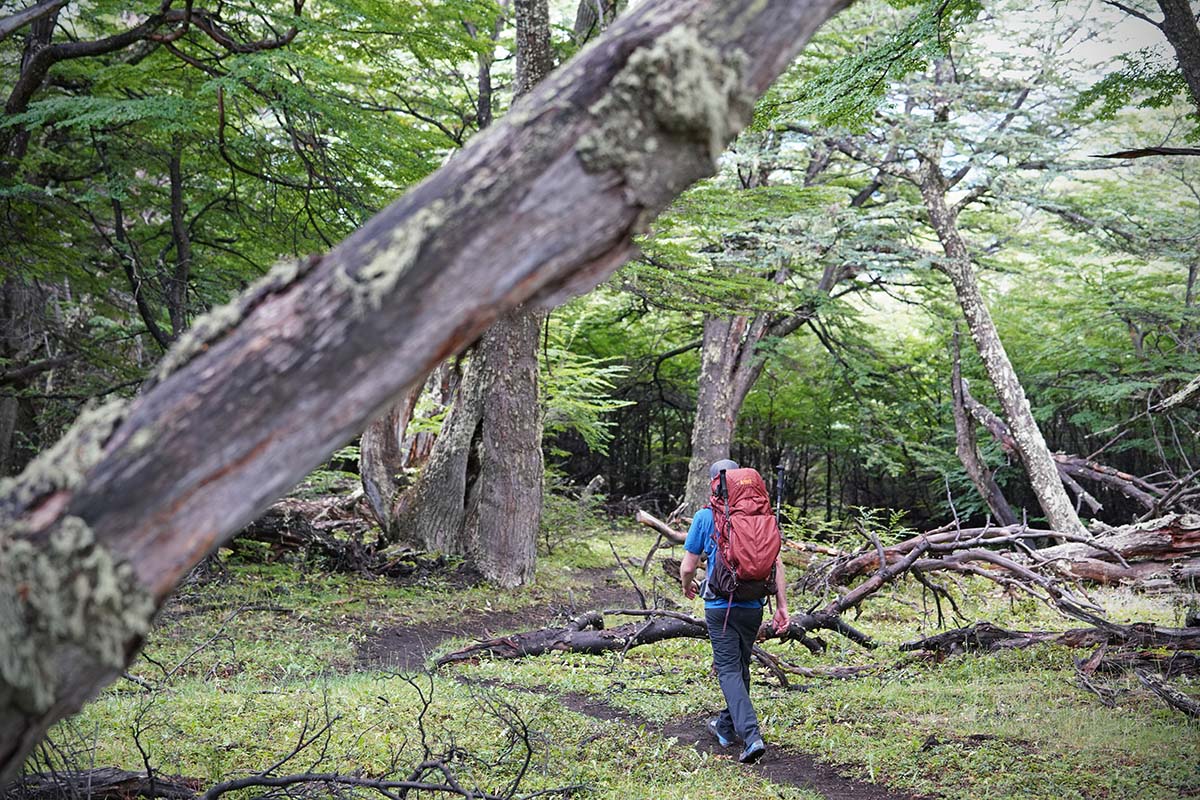 Asolo Falcon GV (hiking in forest)